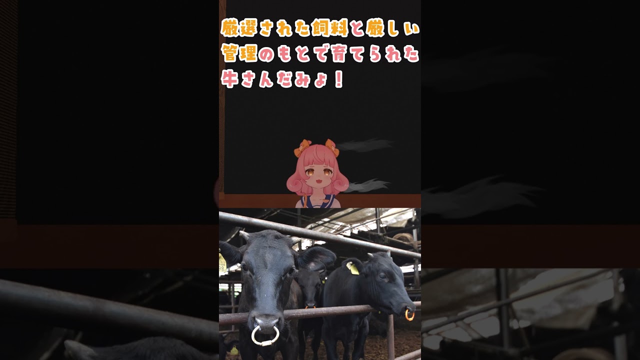 【ご当地キャラ動画】沼津市ご当地Vキャラが「あしたか牛」をご紹介！【100周年まであと27日】