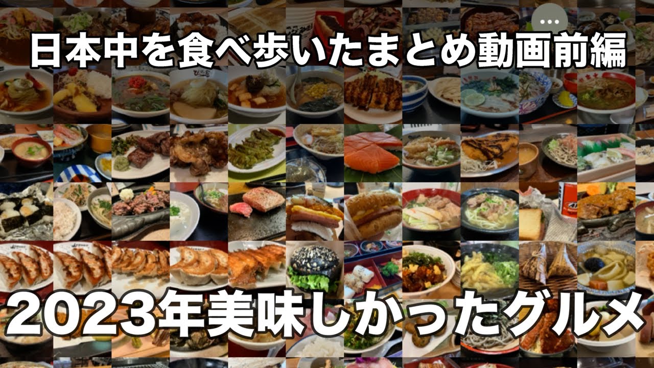 【ご当地グルメ動画】【日本】2023年日本旅行で食べた美味しいグルメ！ご当地のうどん、ラーメン、カレー、海鮮に寿司など！美味しいものだらけの動画前編！！