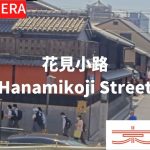 【観光動画】【LIVE】花見小路（京都市観光協会公式）／Hanamikoji Street, Kyoto Live camera