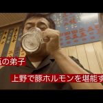 【落語動画】【アメ横】落語家の一人飲み。上野で豚ホルモン、煮込みを堪能。大瓶スタートで昔ながらの酎ハイをグビっと！