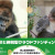 【ふるさと納税関連動画】【東山動植物園公式】ふるさと納税型クラウドファンディングを始めました　#ふるさと納税