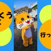 Thumbnail of related posts 016