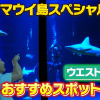 Thumbnail of related posts 147