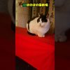Thumbnail of related posts 044