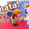 Thumbnail of related posts 172