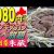 【ご当地グルメ動画】1980円🥩ジンギスカン食べ放題！居酒屋「朱蔵北24条店」で土日祝ランチを