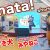 【ご当地キャラ動画】【みやざき犬 & みやねこ】Hinata! #ご当地キャラ #ゆるキャラ #みやざき犬