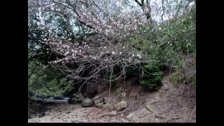 Thumbnail of post image 160