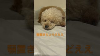 Thumbnail of post image 072